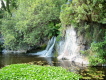 Wasserfall und Wasserpflanzen im Loro Parque