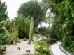 Kaktus Loro Parque