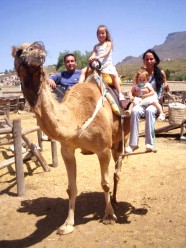Camel Park Teneriffa Kamelritt