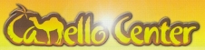 Camello Center Logo
