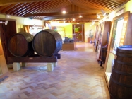 Teneriffa Weinmuseum