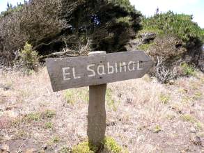 Hinweisschild zum Wald El Sabinar