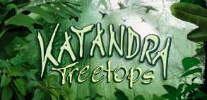 Katandra Treetops