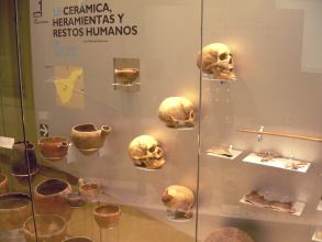 Schädel im Museum Natur Mensch Archäologie  auf Teneriffa