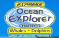 Ocean Explorer Delfine