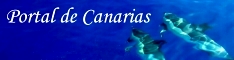 Portal de Canarias 243 60 Kanaren Reise Portal
