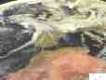 Satellitenbilder der Kanaren