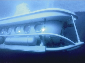 Submarine Safaris auf Teneriffa