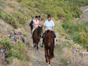 Tenerifehorses Reiten