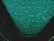 Eismeerfische im Acrylglastunnel