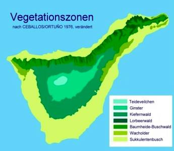 Vegetationszonen auf Teneriffa