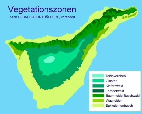 Vegetationszonen auf der Kanareninsel Teneriffa