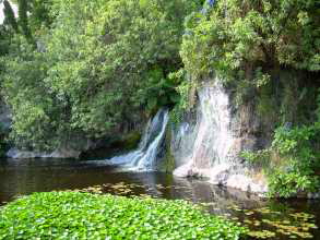 Wasserfall im Loro Parque am Koikarpfen-Becken