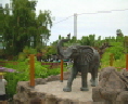 Elefant im Loro Parque