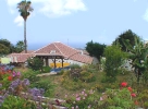 Teneriffa Immobilien Finca ste3197