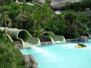 Jungle Snake Teneriffa Siam Park