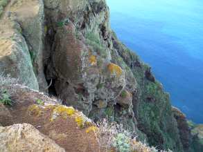 Anaga Chinamada Teneriffa l12