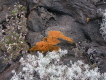 el hierro arenas blancas 9