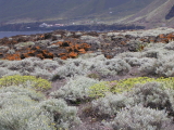 el hierro arenas blancas