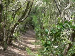 Aventura Wandern auf Teneriffa