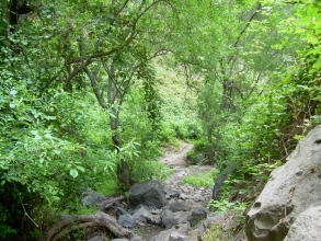 Adeje Barranco del Infierno