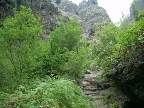 Pfad Barranco del Infierno Adeje