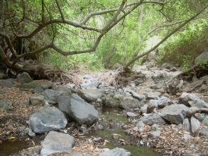 Am Wasser des Barranco del Infiernos