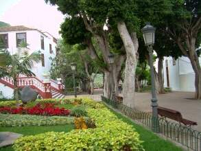 Blumen in Icod de los Vinos Teneriffa