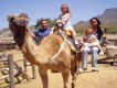 Camel Park Teneriffa