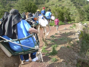 Camello Center Teneriffa Kamelritt