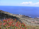 el hierro charco manso 8