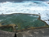 el hierro charco los sargos 2