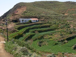 Chinamada Anaga Teneriffa