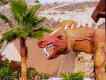 Drache Siam Park