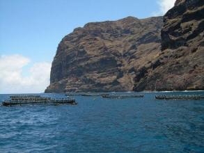 Fischzuchtanlage vor Los Gigantes