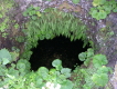 Wasserspeicher mit Bewuchs El Hierro