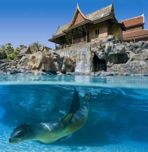 Isla de Leones Siam Park