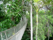 jungle park teneriffa 2
