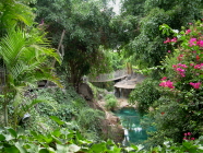 jungle park teneriffa pflanzen
