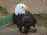 parque las aguilas teneriffa