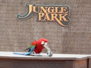 jungle park teneriffa exotisch