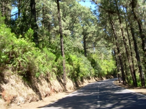 La Esperanza Teneriffa