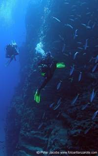 Lanzarote Big Blue Sea Tauchen