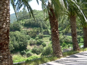 Las Carboneras Teneriffa Strassenrand