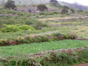 Las Montanetas El Hierro