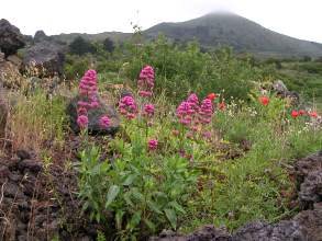 Las Montanetas El Hierro 4