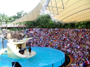 Zuschauertribhne Seelwen Loro Parque