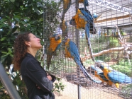 Brito Loro Parque