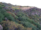 el hierro mirador de isora 5