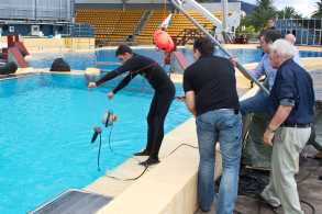 Orca-acustica-Loro Parque Teneriffa